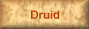 Druid